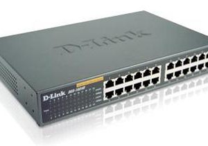 D-Link 24port Switch rentals